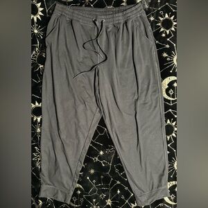 American Eagle Outfitters Gray Track Pants